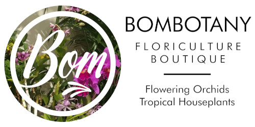 Bombotany.com Gift Card