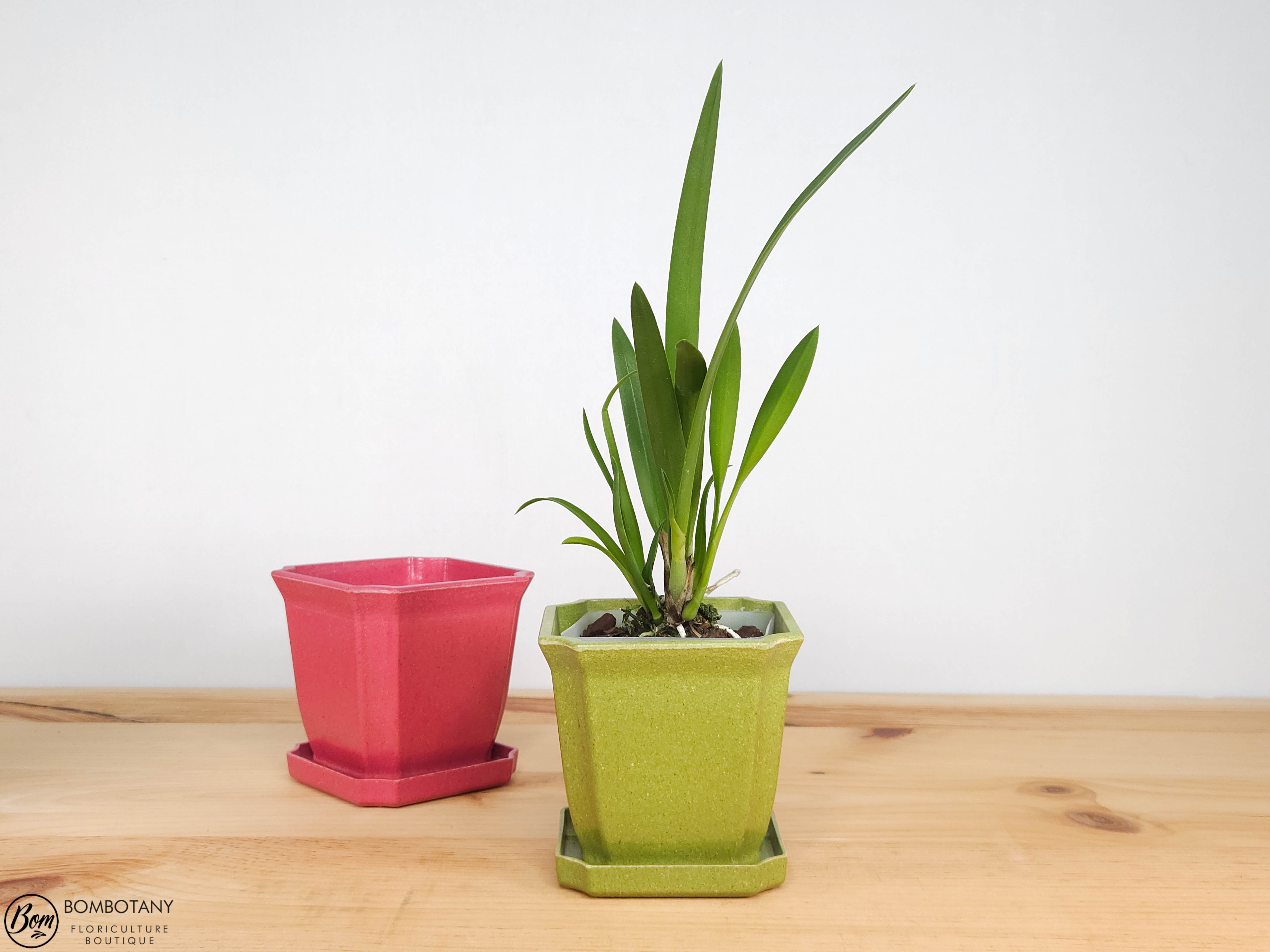Eco Pot 4.5x4.25" With Saucer