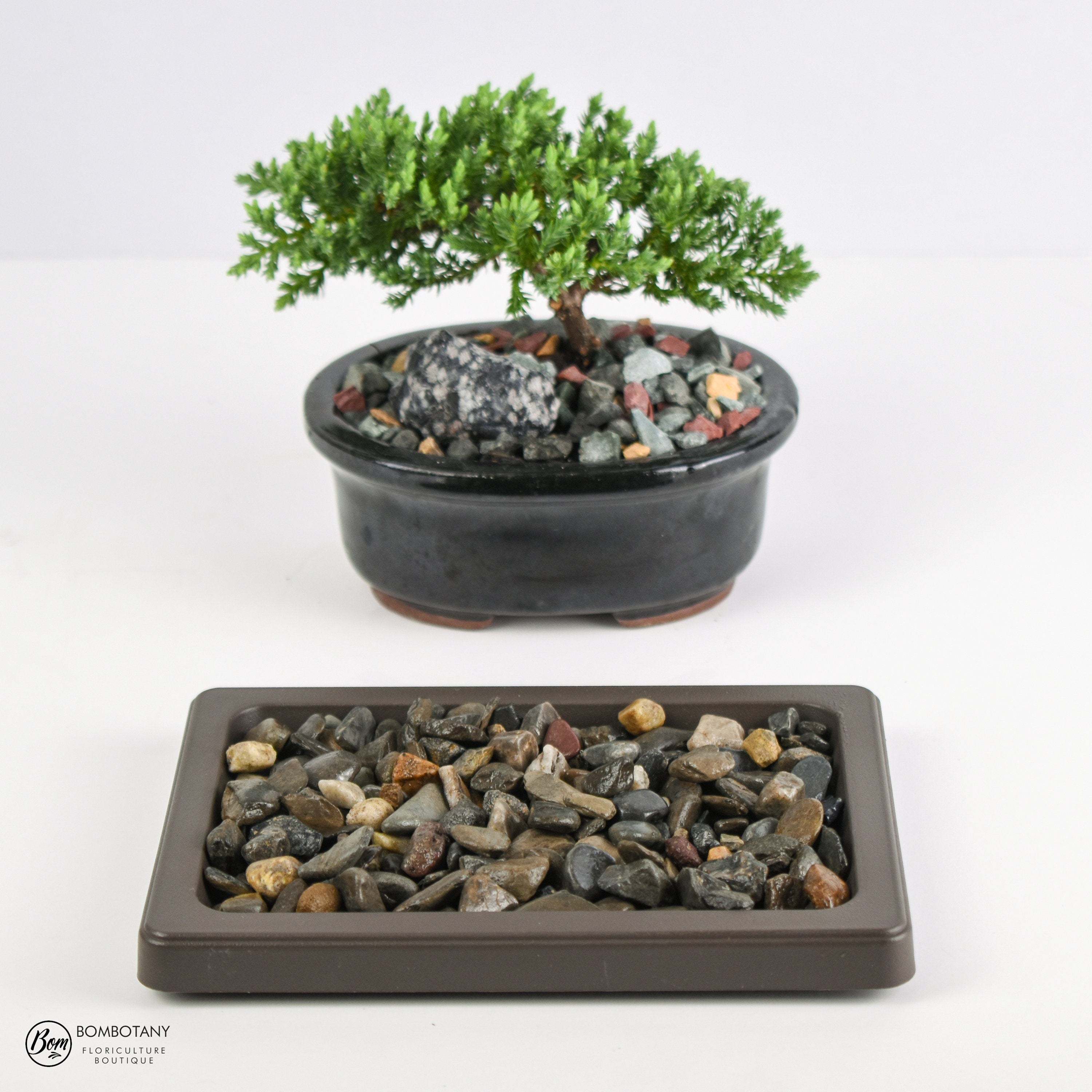 Humidity Tray Black Pearl Small Size Houseplant Supplies Bonsai