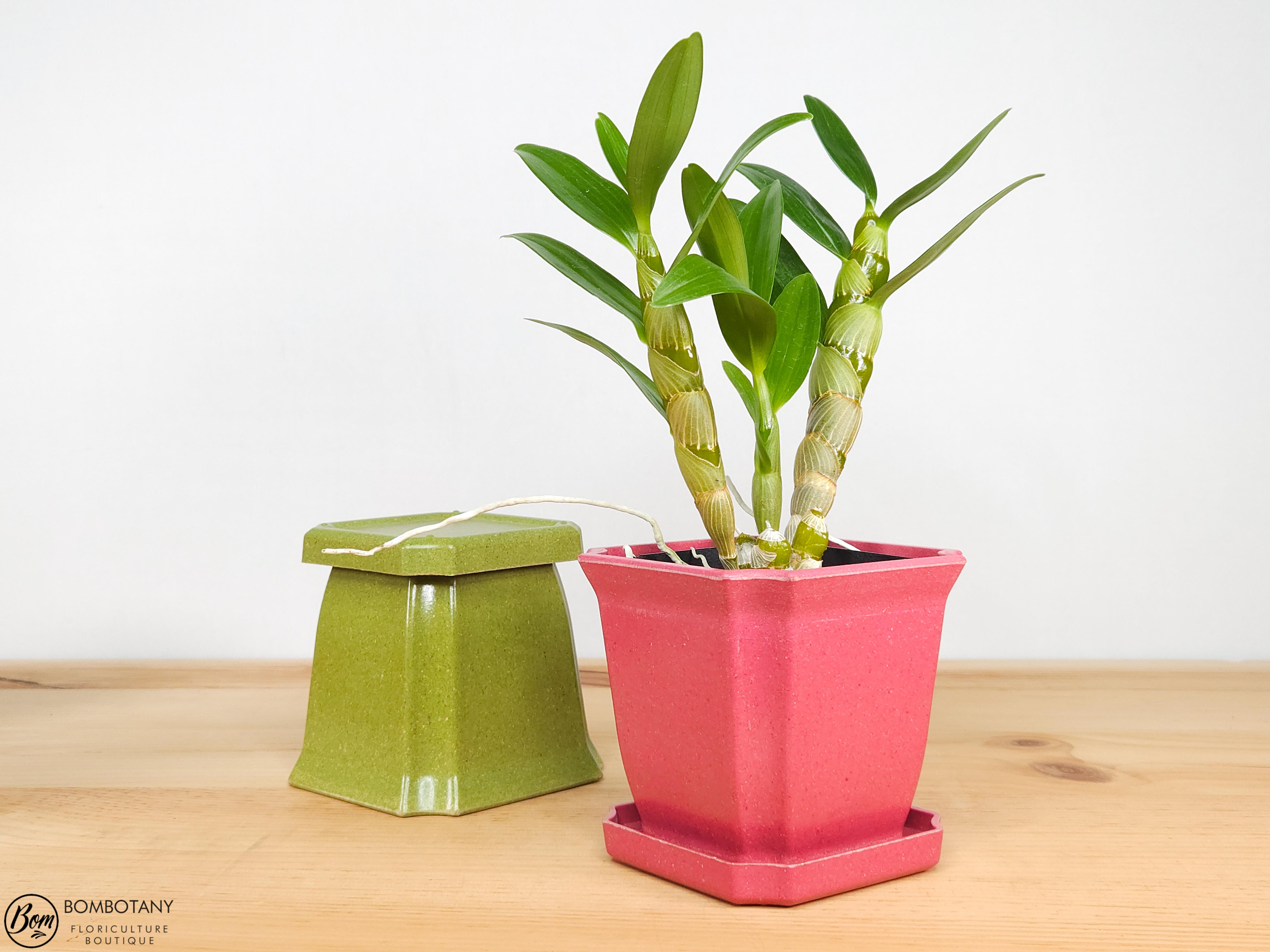 Eco Pot 4.5x4.25" With Saucer
