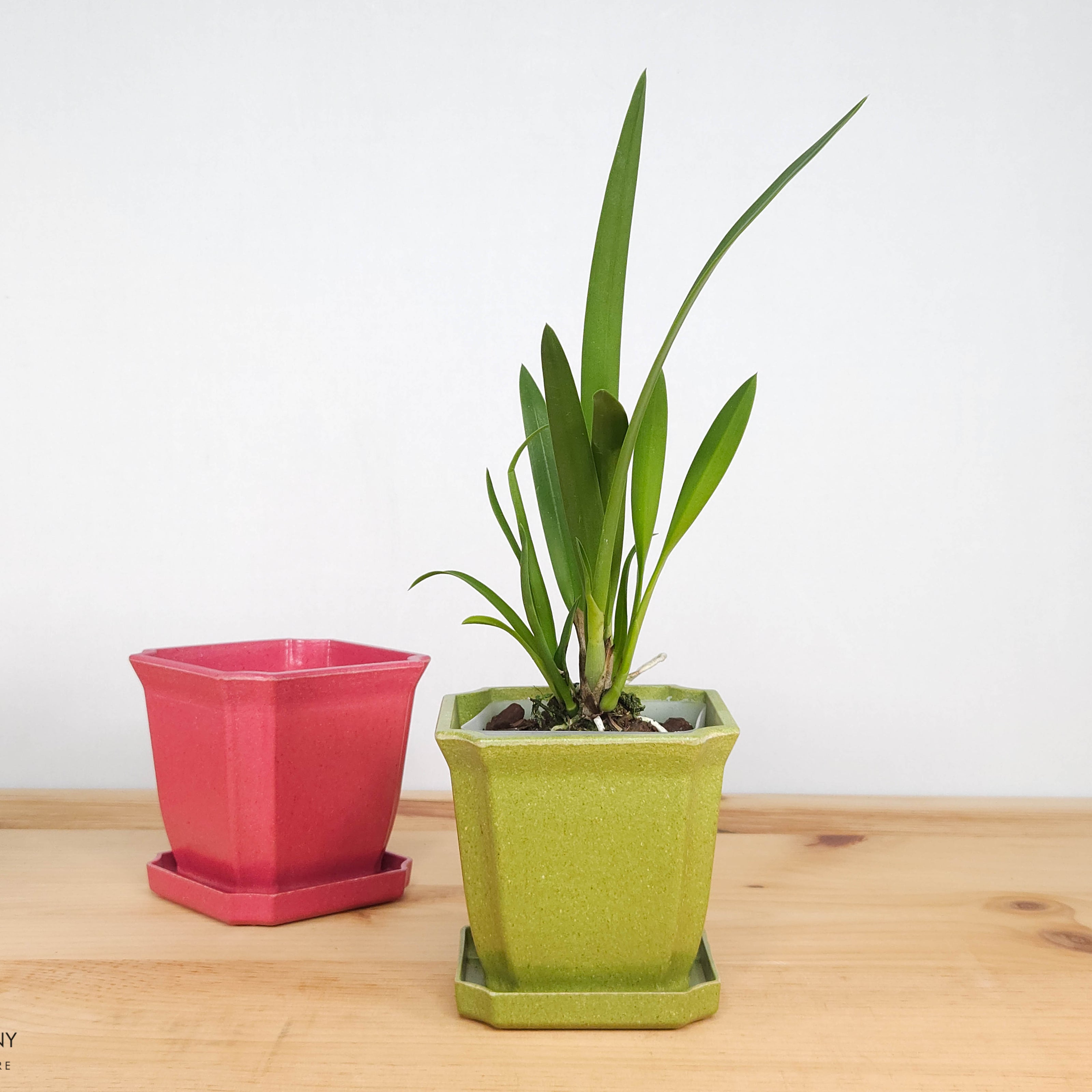 Eco Pot 4.5x4.25" With Saucer