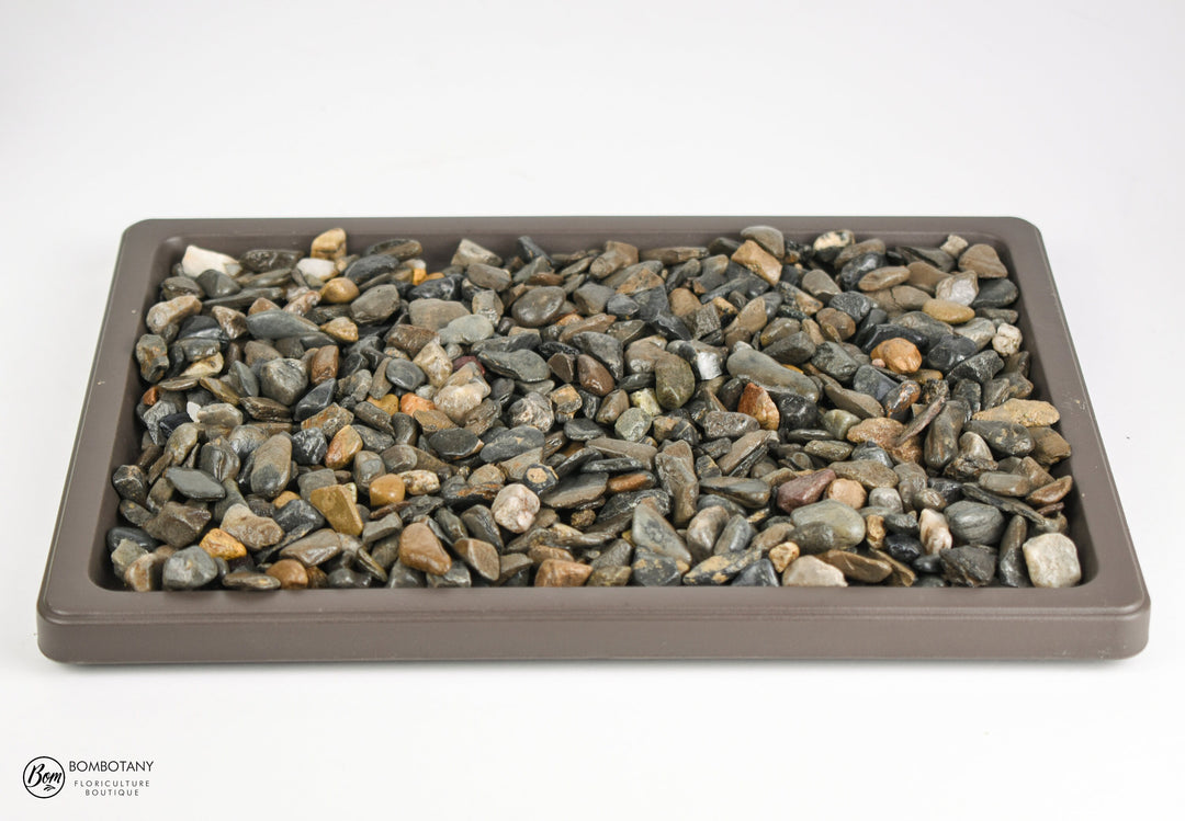 Large Humidity Tray - Black Pearl – bombotany